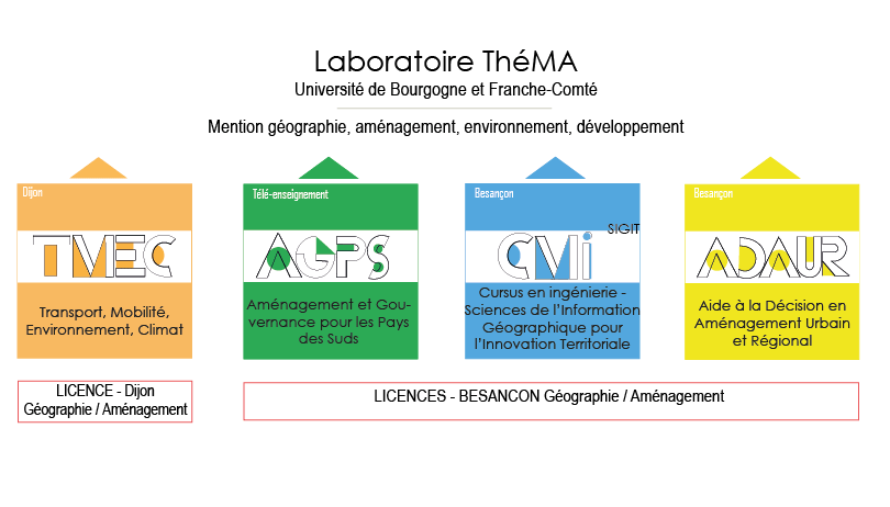 schema formation
