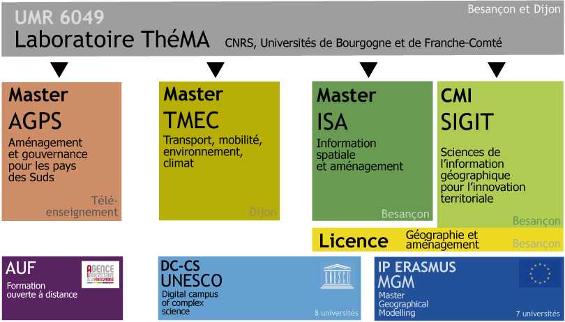 schema formation