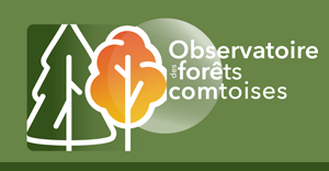 Logo observatoire forêt